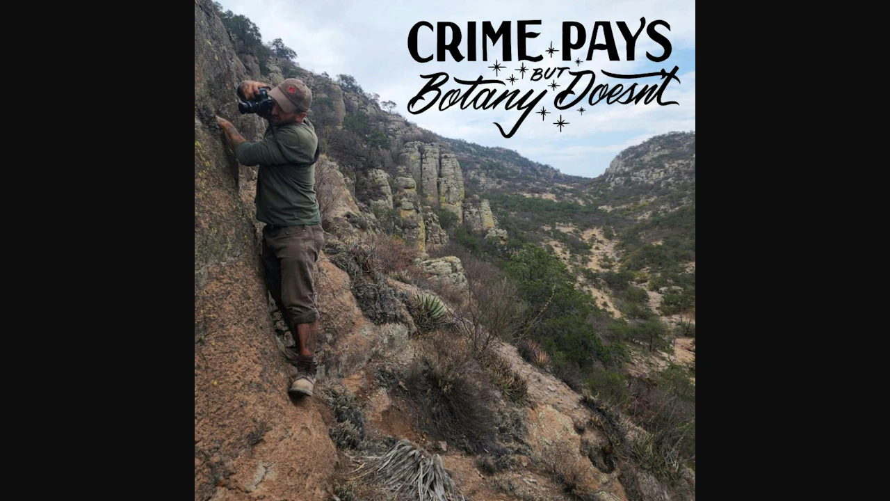 Crime Pays But Botany Doesn't (Joey Santore)