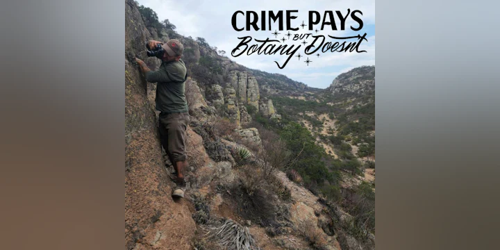 Crime Pays But Botany Doesn't (Joey Santore)