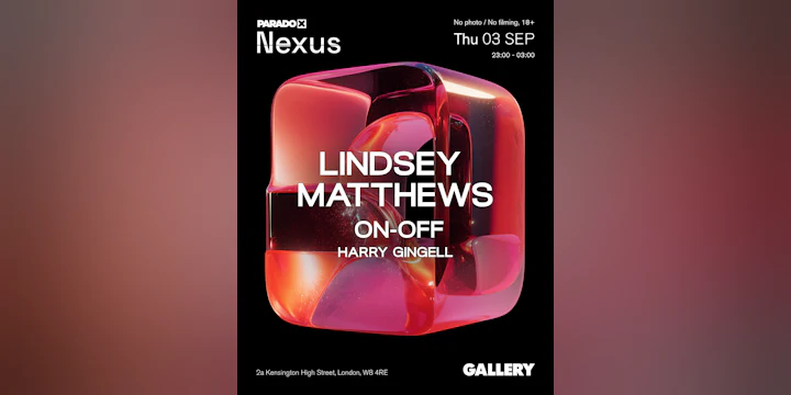 Paradox Nexus: Lindsey Matthews - Thursdays at Gallery