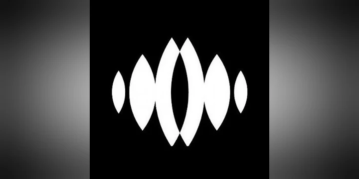 Dvs1