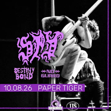 Paper Tiger