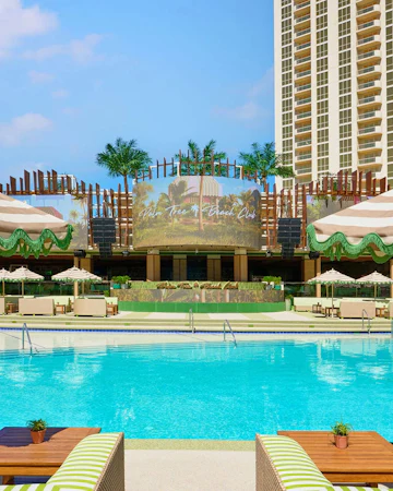 Palm Tree Beach Club