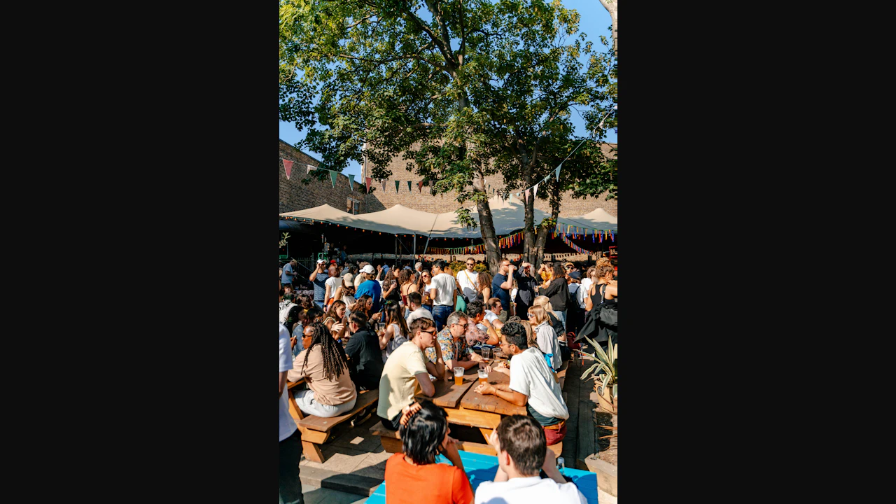 Strut Records Free Garden Takeover