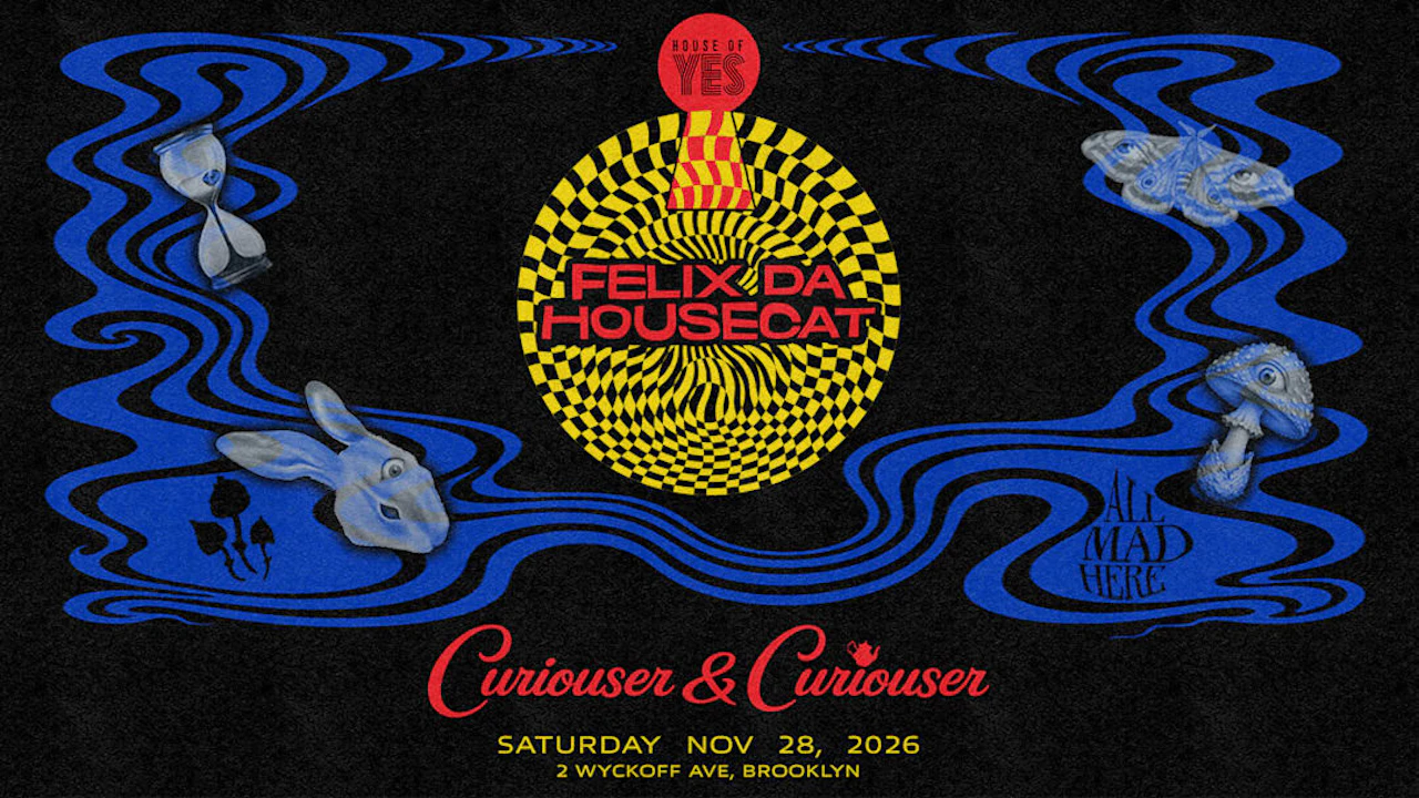 Curiouser & Curiouser: Felix Da Housecat
