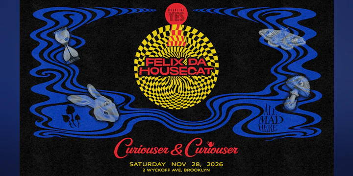Curiouser & Curiouser: Felix Da Housecat
