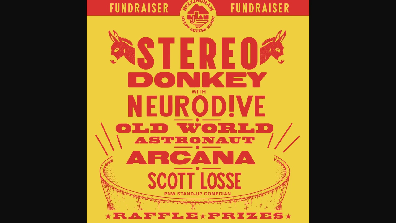 Local Music Community Fundraiser w/ Stereo Donkey