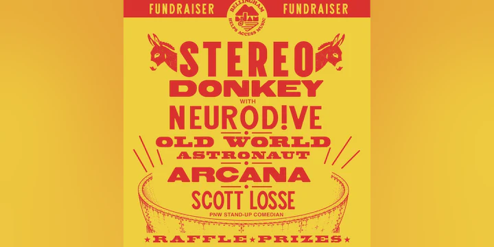 Local Music Community Fundraiser w/ Stereo Donkey