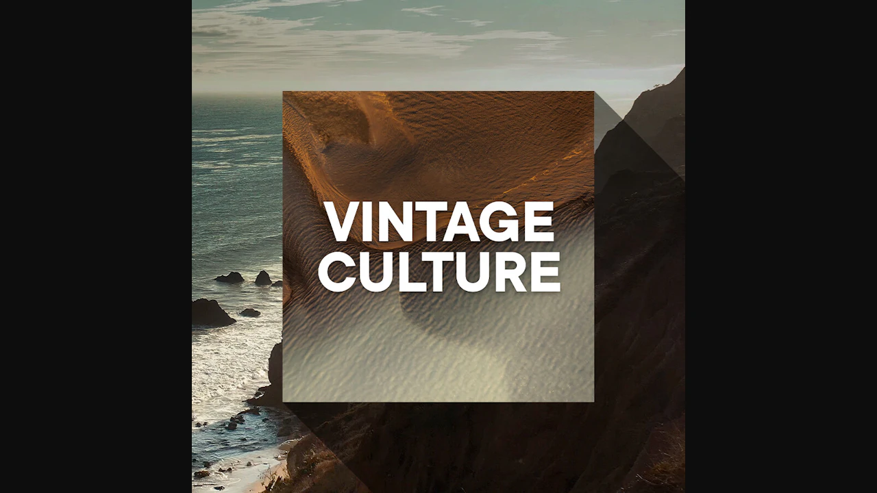 Vintage Culture