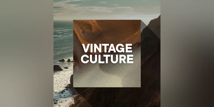 Vintage Culture