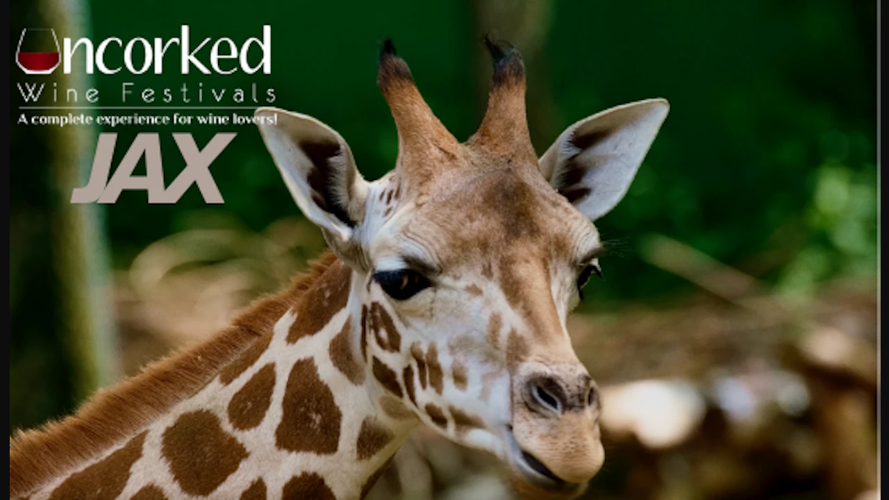 Uncorked: Jax