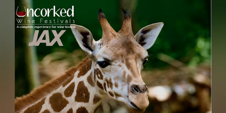 Uncorked: Jax