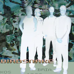 Birdsnake Live (Birdsnake (Live), Bria, Kos)