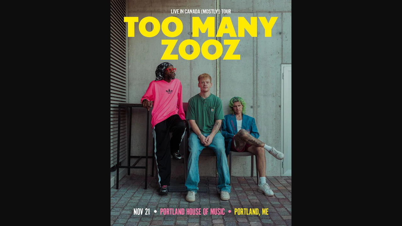 Too Many Zooz