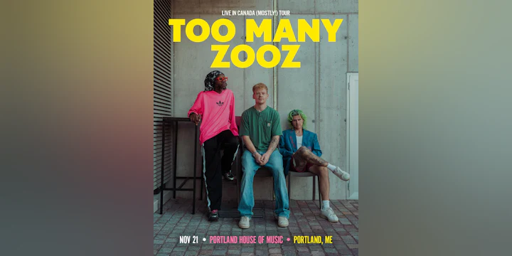 Too Many Zooz