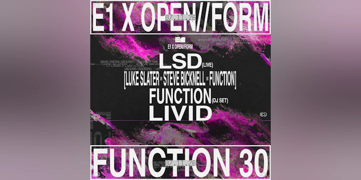 Functions 30 × 10 Years of LSD