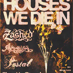 House We Die In, Zashed, Acedya
