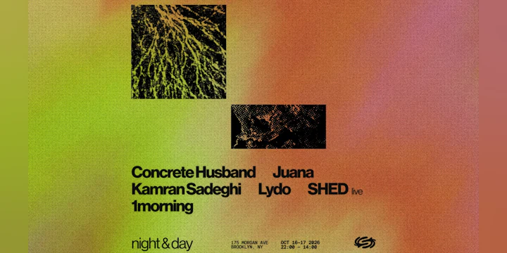 Night & Day: Shed (LIVE), 1morning, LYDO + TBA