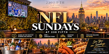 230 Fifth Rooftop