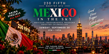230 Fifth Rooftop