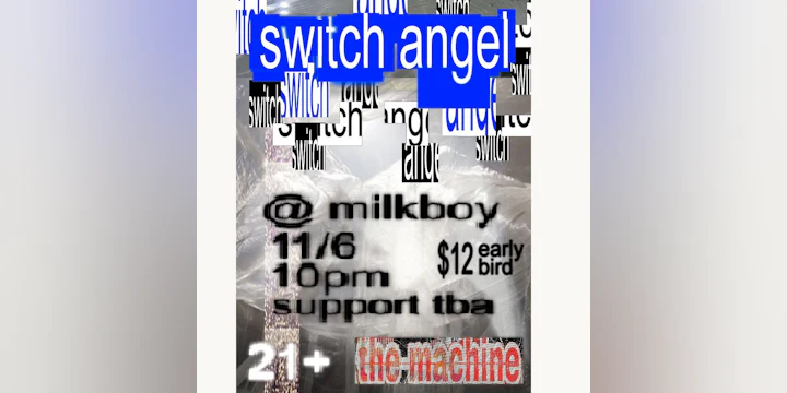 Switch Angel
