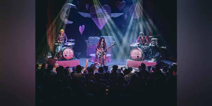 The Velveteers