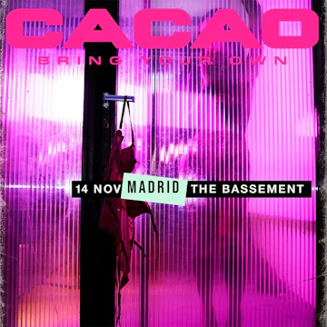 The Bassement Club