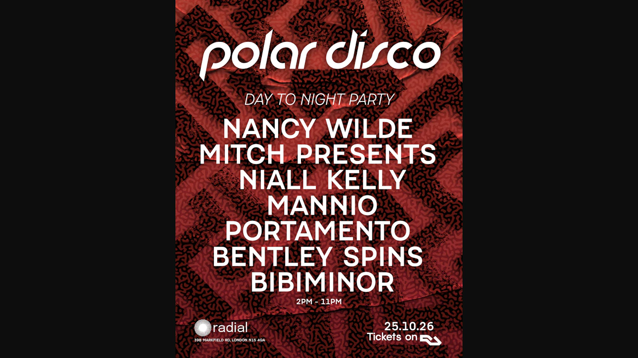 Polar Disco Day to Night Party