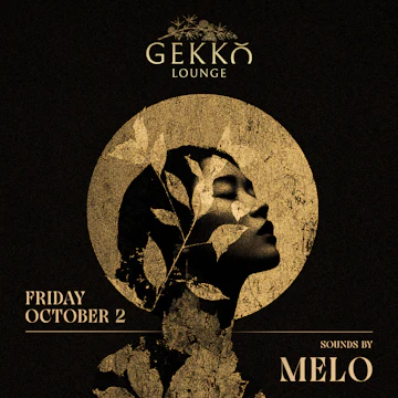 Gekko Lounge