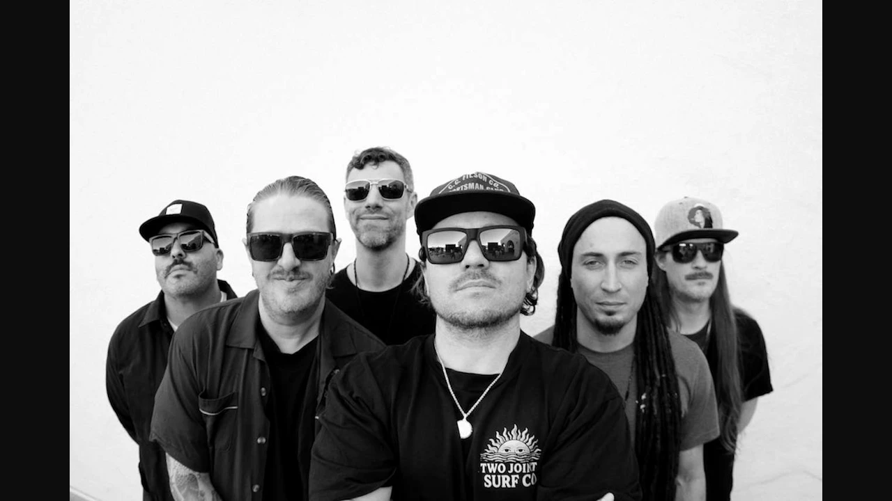 The Elovaters - Shark Belly Motel Tour