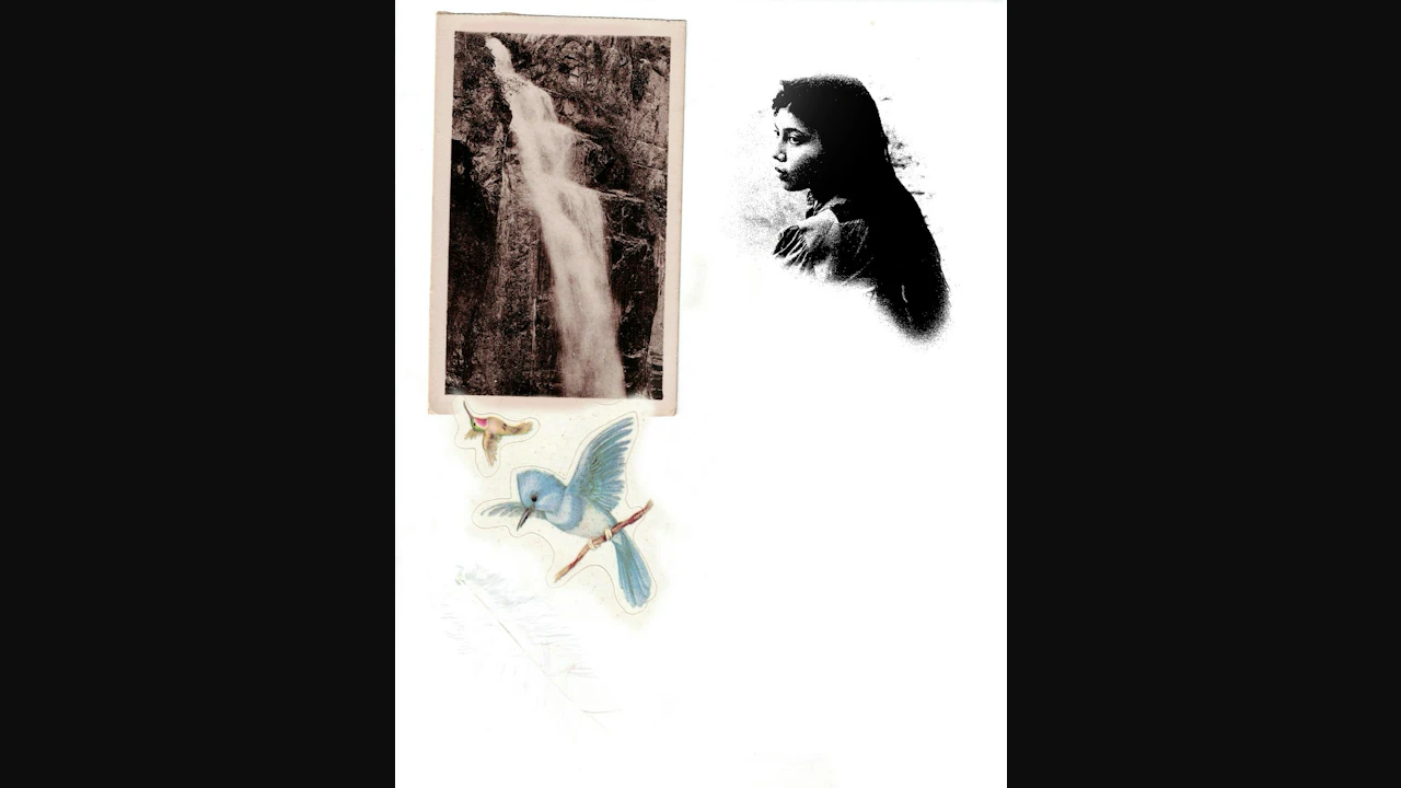 June Mcdoom