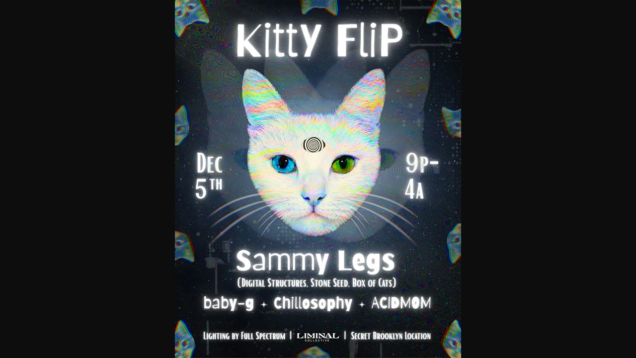 Liminal Collective: Kitty Flip