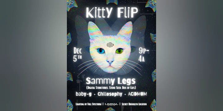 Liminal Collective: Kitty Flip