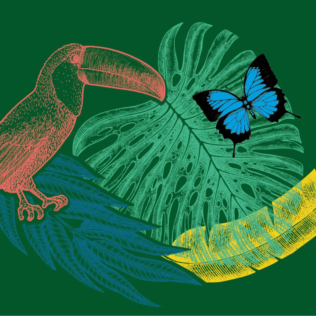 Pura Vida Week - Carnet de voyage : elles racontent leur Costa Rica !