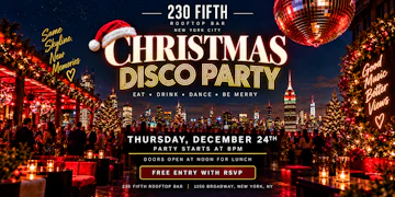 230 Fifth Rooftop