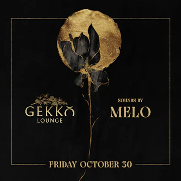 Gekko Lounge