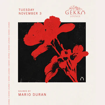 Gekko Lounge
