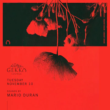 Gekko Lounge