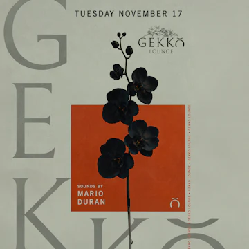 Gekko Lounge