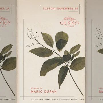 Gekko Lounge