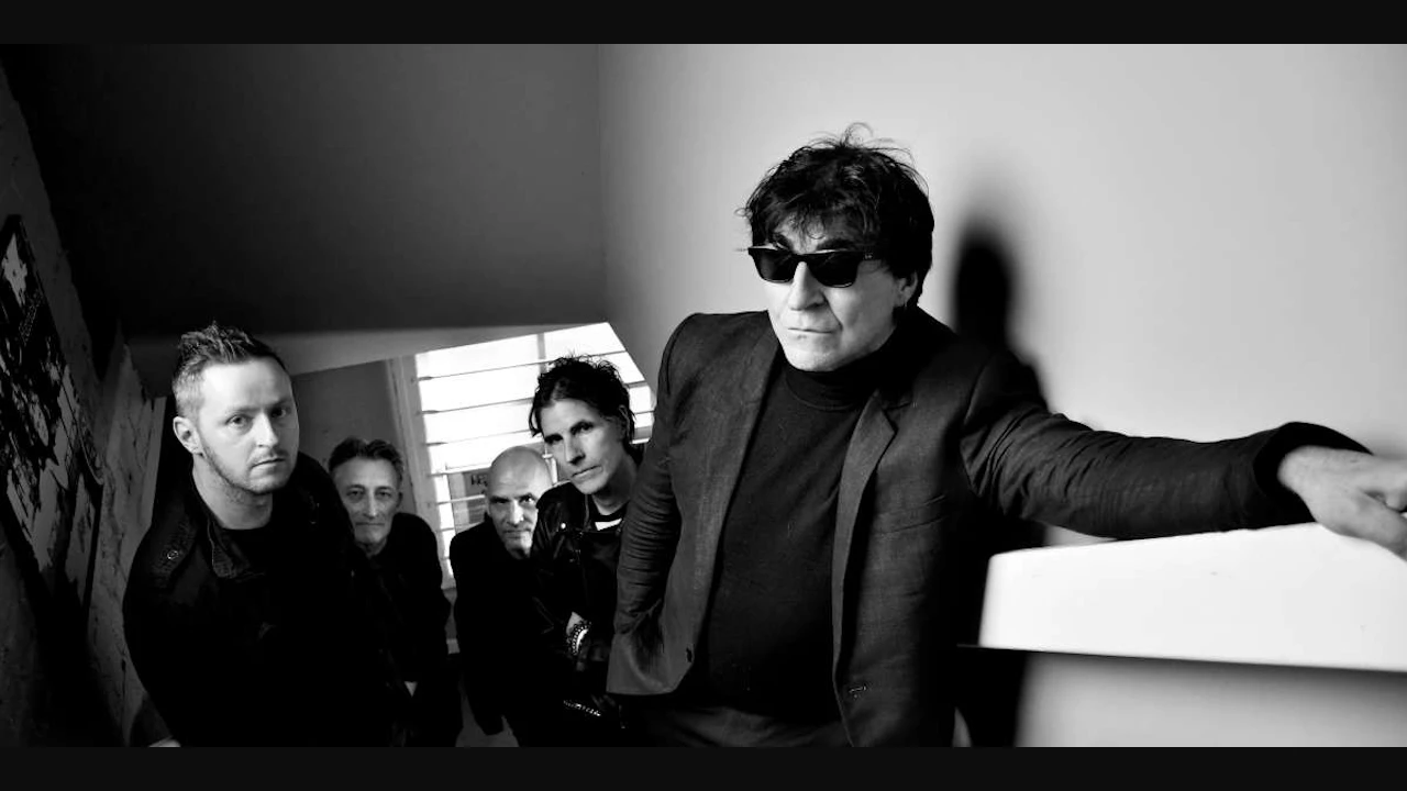 The Chameleons
