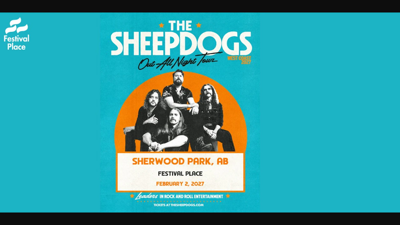 The Sheepdogs