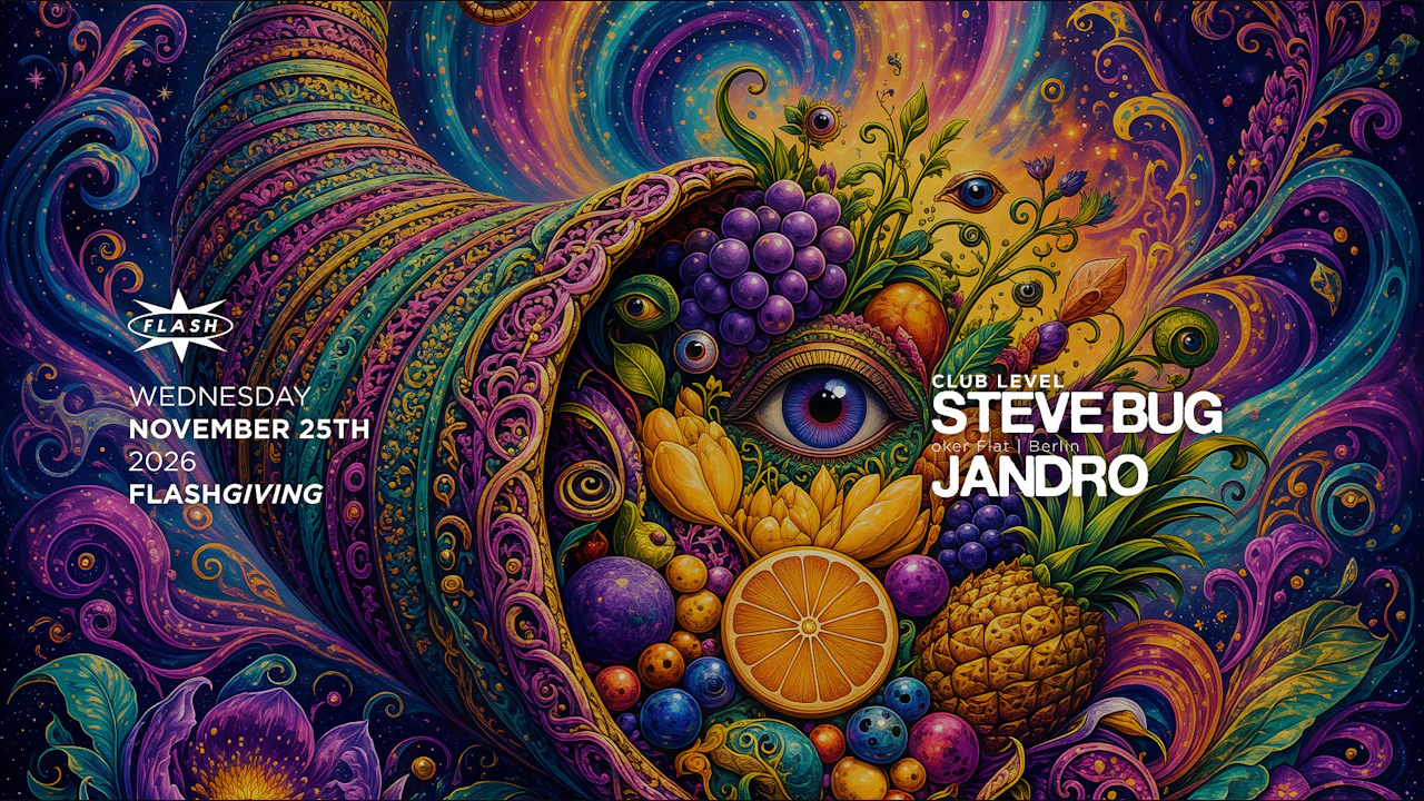 FlashGiving: Steve Bug