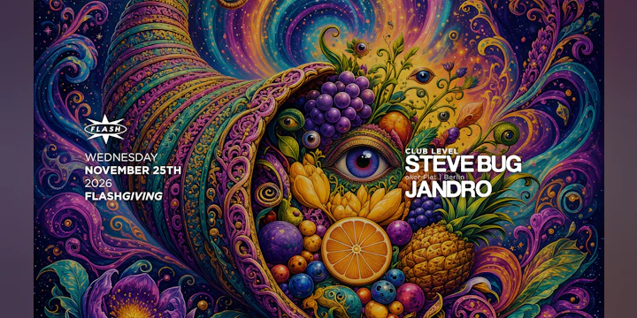 FlashGiving: Steve Bug