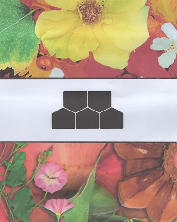 Fold