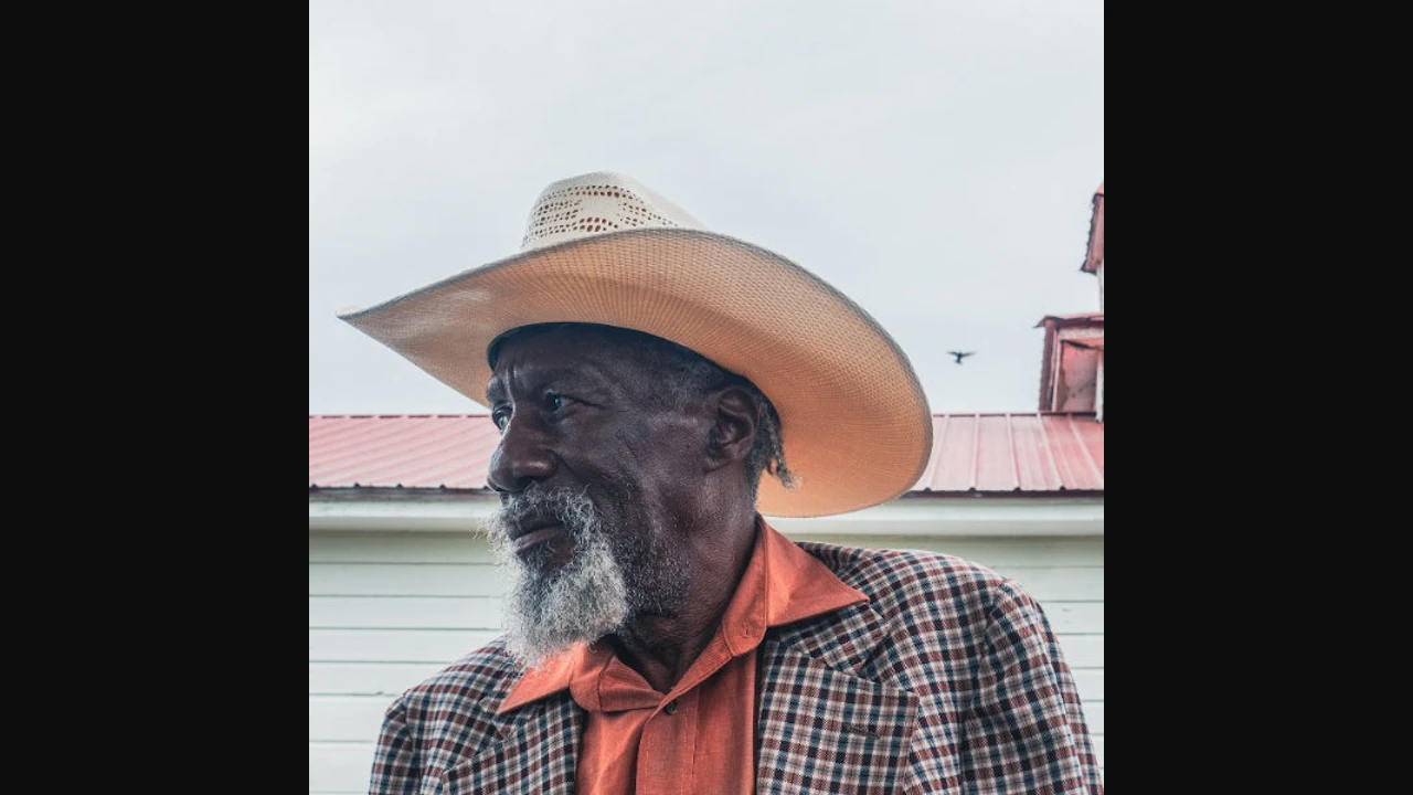 ROBERT FINLEY plus Daddy Long Legs