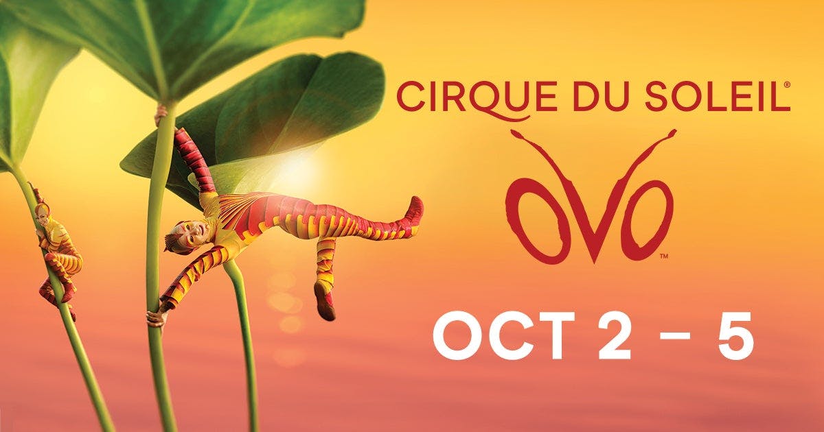 CIRQUE DU SOLEIL: OVO Houston