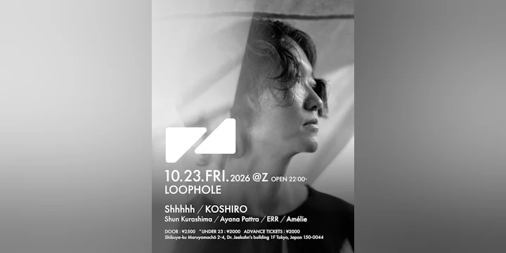 Loophole (techno)