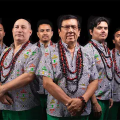 Los Mirlos