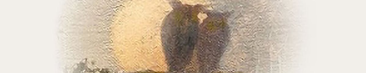 Tanglewood: Koussevitzky Music Shed