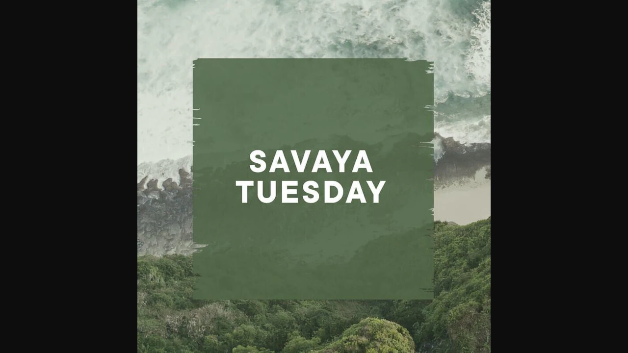 Savaya Tuesday